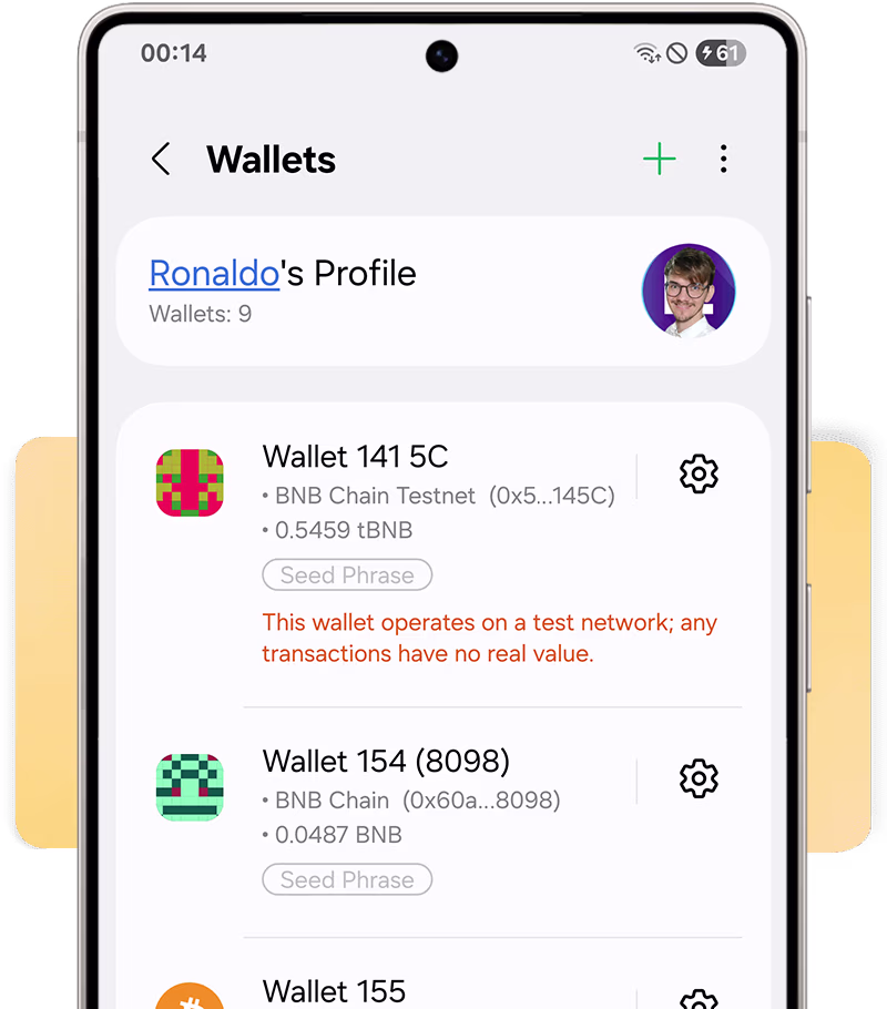  Multi-chain Wallets